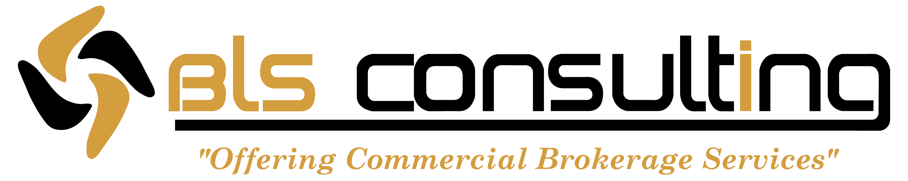 BLS Consulting — Minnesota Business Brokerage